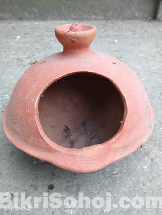 বাজরিকা পাখির ঘর